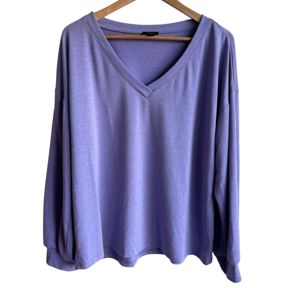 Ann Taylor Factory Slouchy V-Neck Shirt XL Lavender Long Sleeve Stretchy Comfy